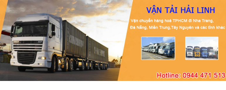 CÔNG TY TNHH DỊCH VỤ VẬN TẢI XUẤT NHẬP KHẨU HẢI LINH